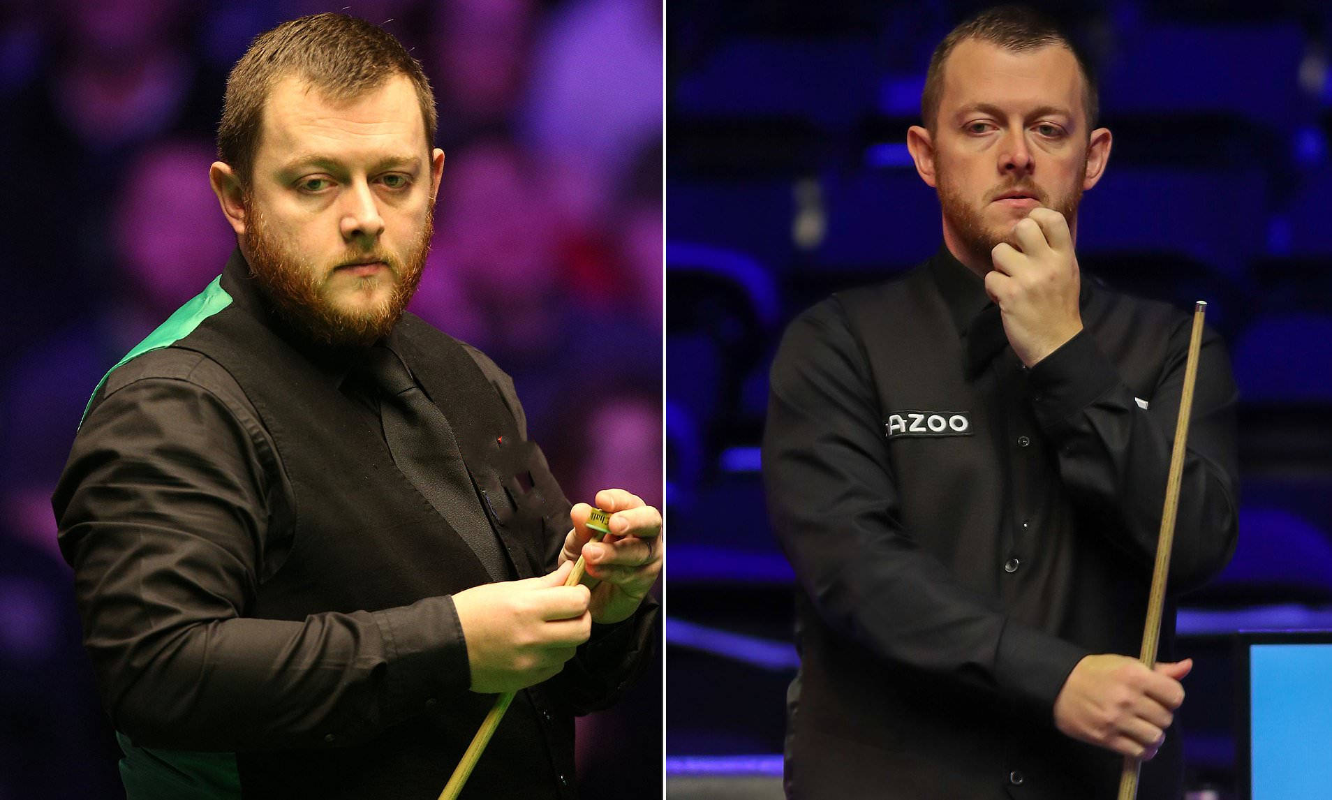 不仅因为他 不仅因为他