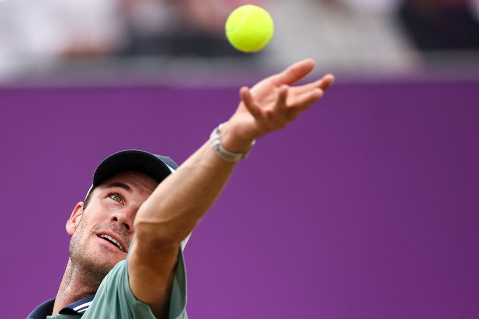 整体团队的 整体团队的